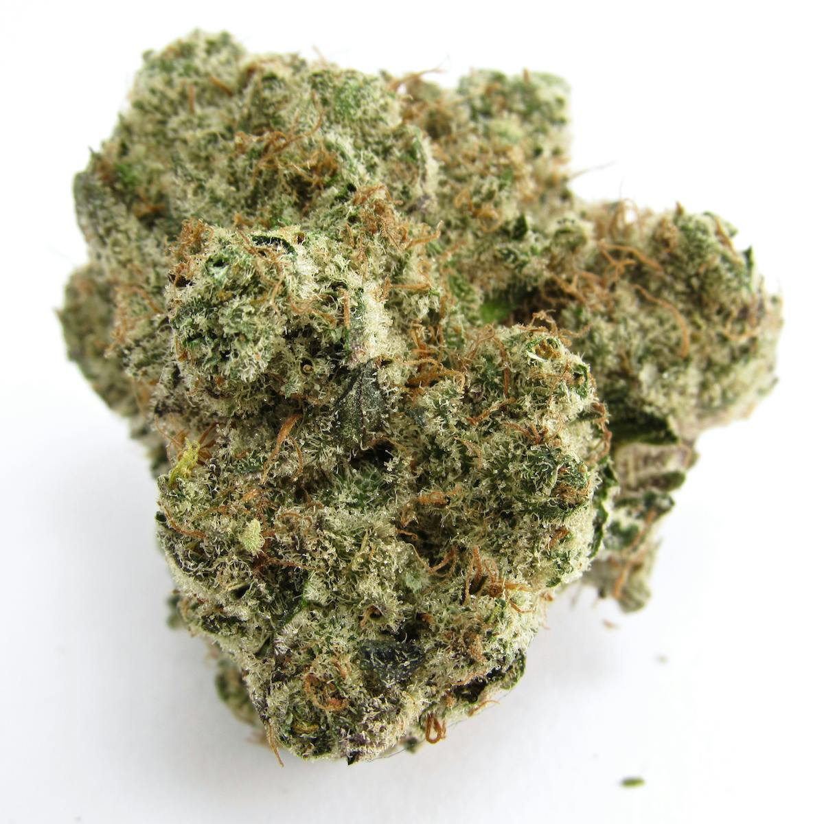 Greasy Runtz Weed Strain Information Leafly